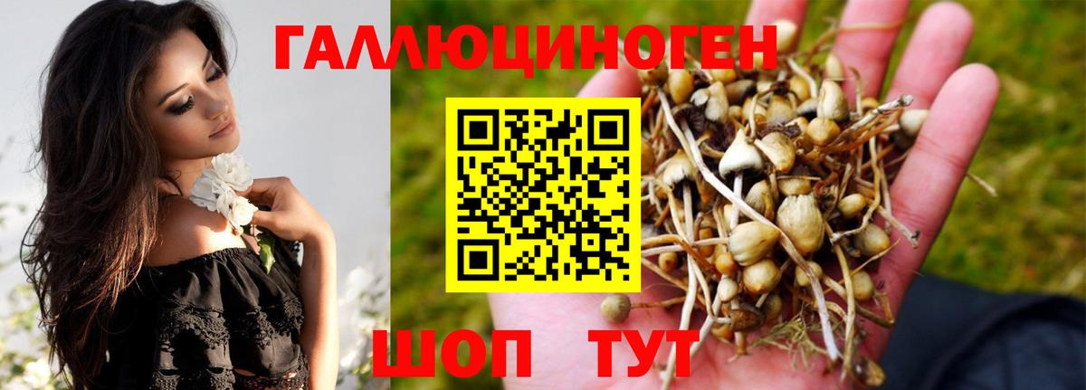 Галлюциногенные грибы GOLDEN TEACHER  Галлюциногенные грибы Psilocybe  Волжск  Вход с VPN 